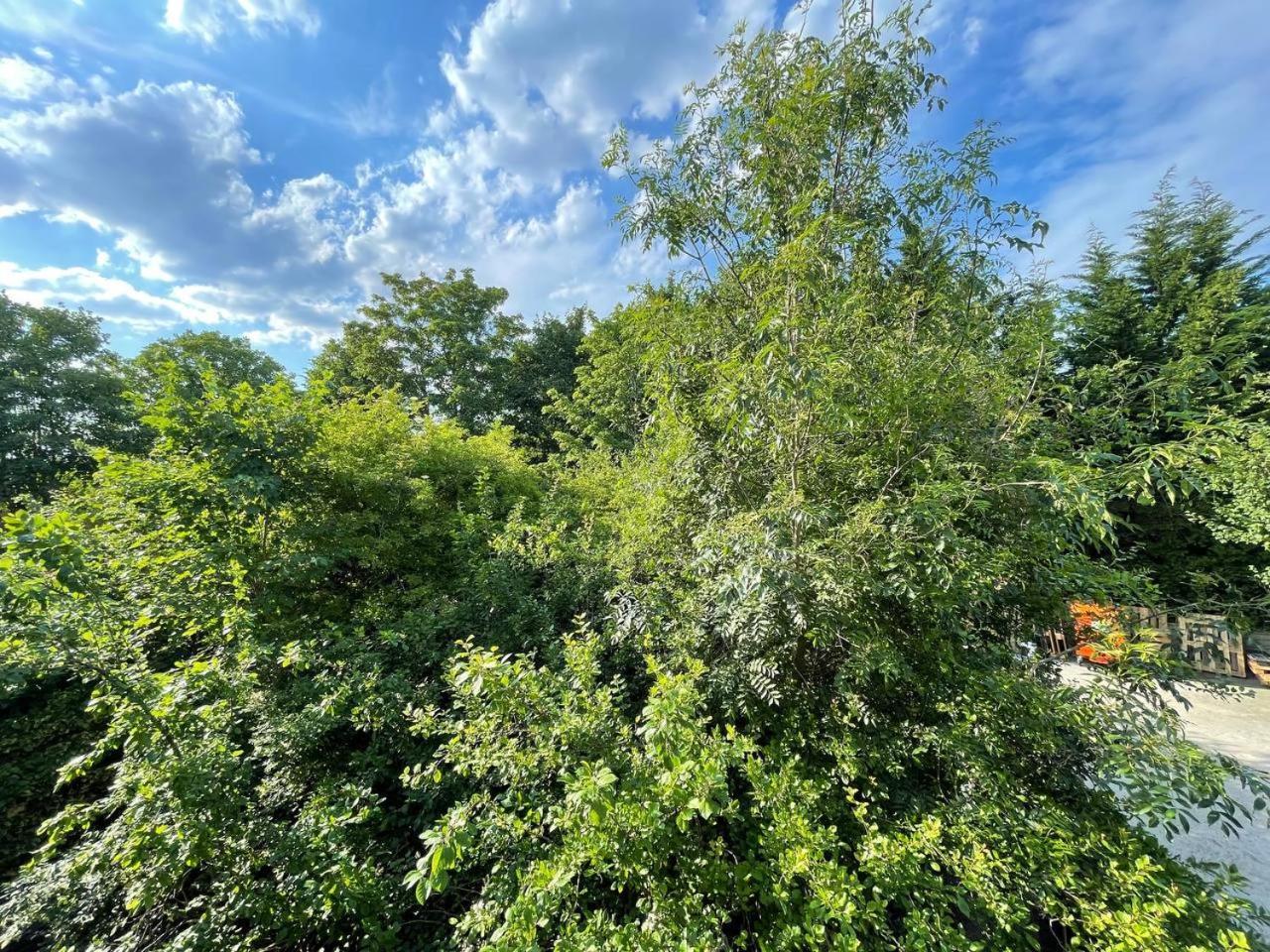 Apartment Hampstead 4-bedrooms